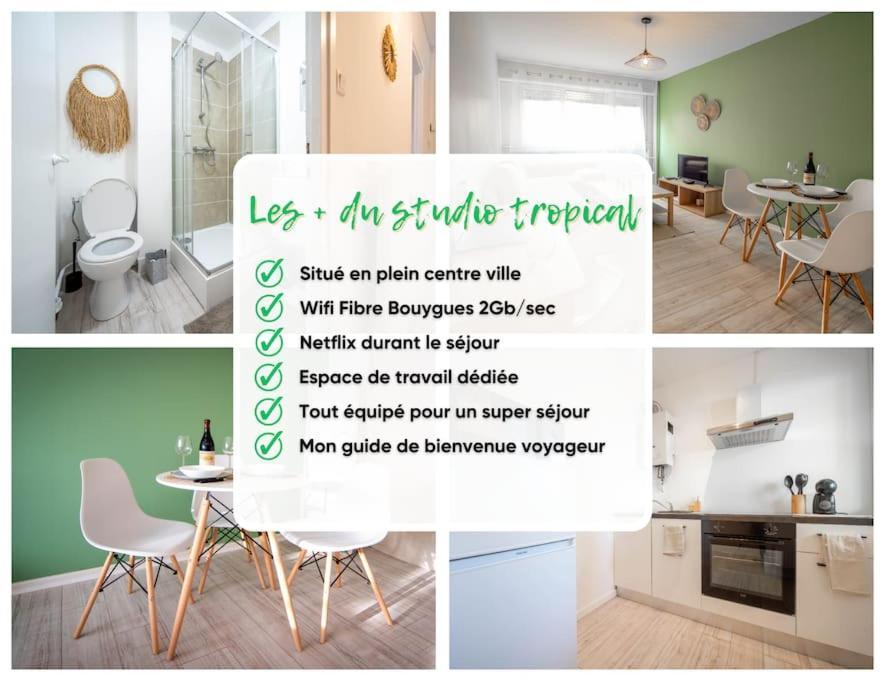 Le Studio Tropical ชาลง-ซูร์-ซอน ภายนอก รูปภาพ